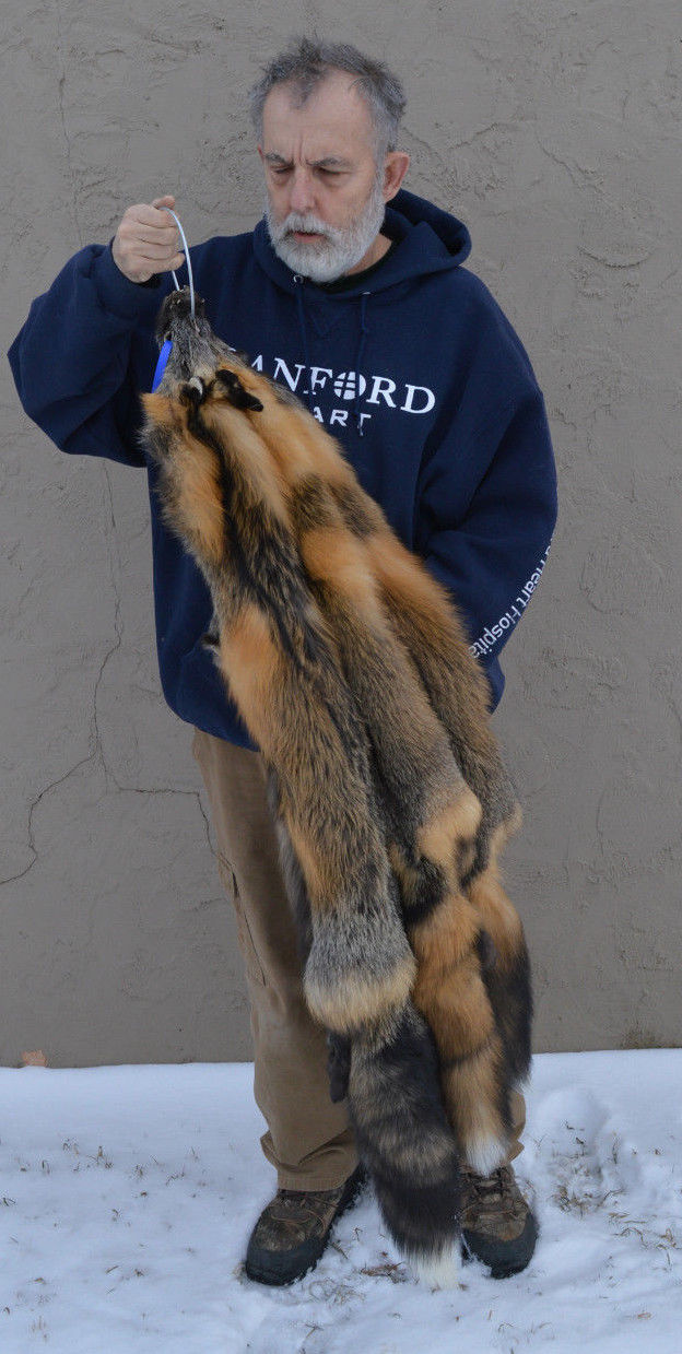 Tanned Cross Fox Hide, Wall Hanger, striking, fur, soft, crfxexcellent