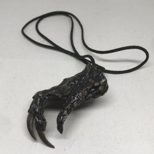 Alligator Foot Taxidermy Necklace Cord Gator Claws Weird Reptile Collectible