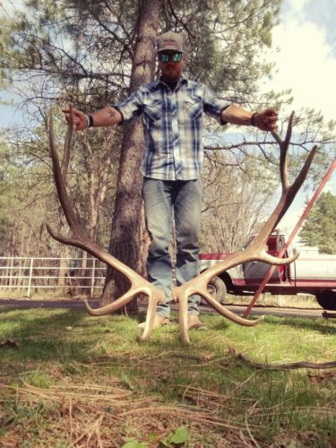 REAL Brown Elk Antler Sheds Set Pair Deer Moose TAXIDERMY Mount Log Cabin Decor