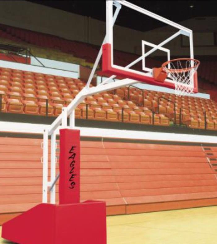 Bison T-Rex 66 professional basketball courts