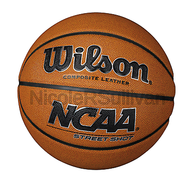 Wilson NCAA Street Shot Basketball Official/29.5-Inch