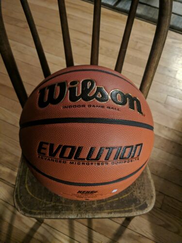 Wilson Evolution Game Basketball 29.5