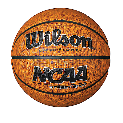 Wilson NCAA Street Shot Basketball Official/29.5-Inch