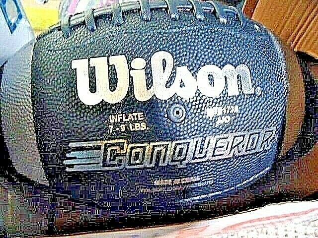 brand new all weather wilson football FULL SIZE