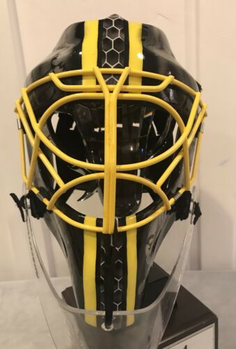Custom Zombie Biohazard Hackva Goalie Helmet (L)  Hockey Goalie Mask