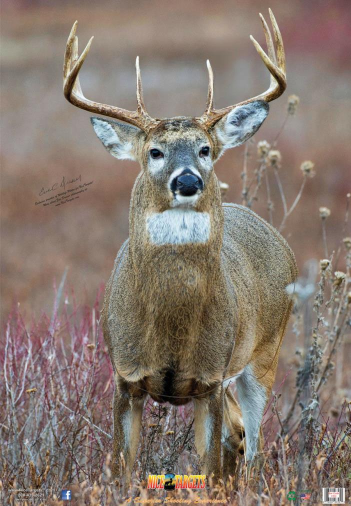 Set of 5 Nice Targets - Deer, Turkey, Rabbit, Recyclable Poly Weather Resistant