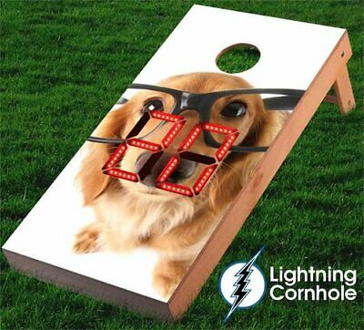 Electronic Scoring Golden Retriever with Glasses Cornhole Board Red