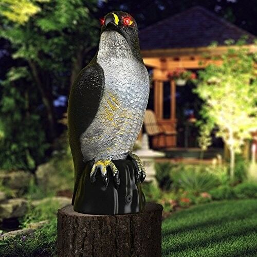 Eagle Decoy with Scary Flashing Eyes and Frightening Sounds Motion Activated