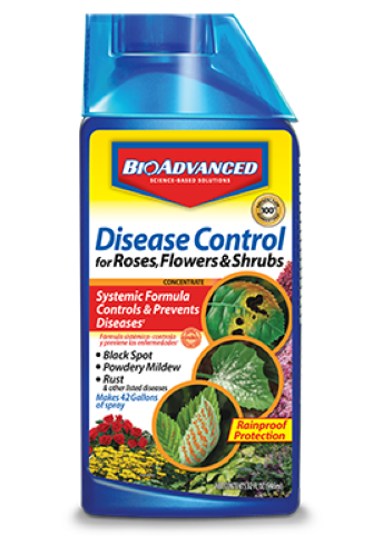 Bayer Advanced Disease Control for Rose, Flower and Shrubs - 32FL Oz