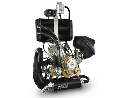 POLINI THOR 250 DS DUAL SPARK engine - Ø 28 Carburetor - Electric starter