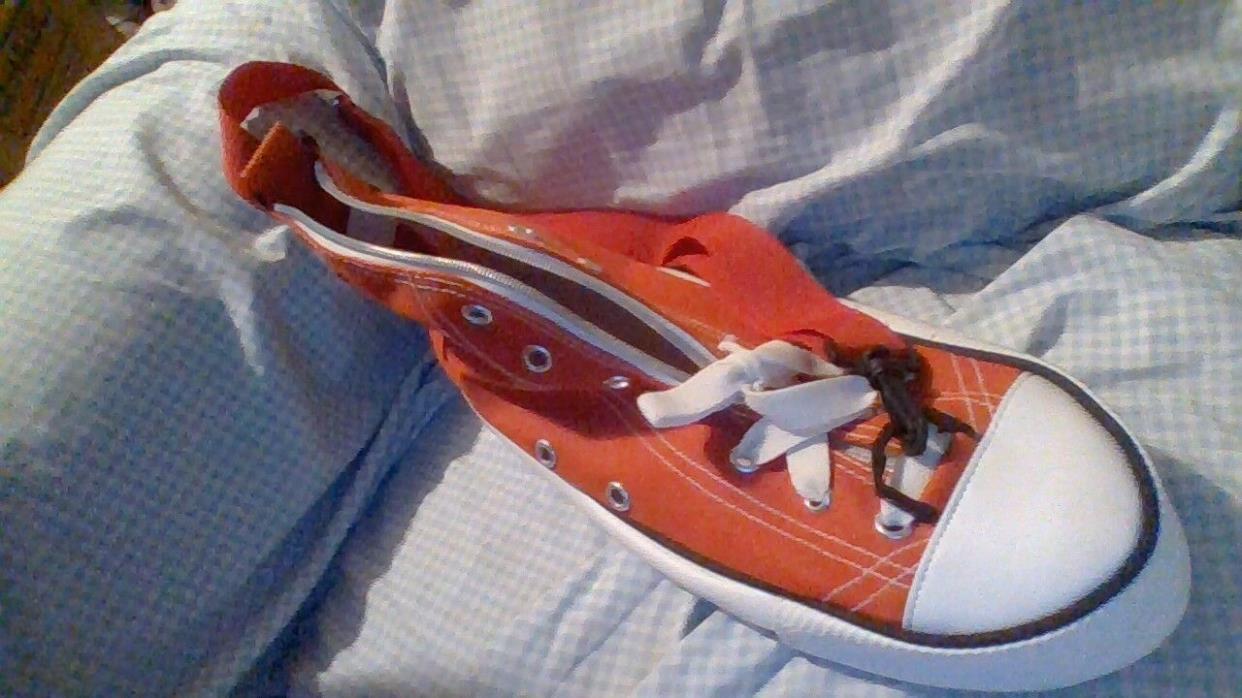 purse shaped like a tennis shoe unique