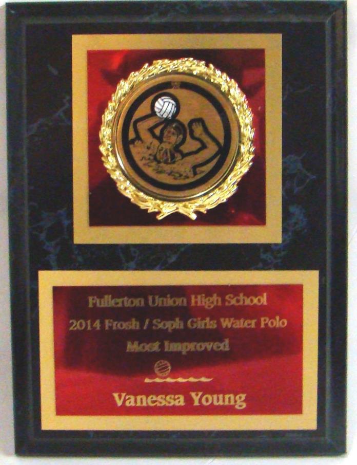 Water Polo Plaque with water polo mylar - 6