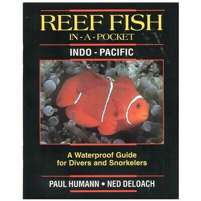 Reef Fish In-A-Pocket, Tropical Pacific