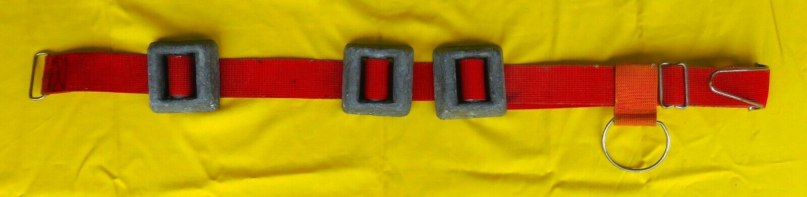 SCUBA WEIGHT BELT with 12 POUNDS of WEIGHTS and accessory D-Ring *REDUCED*