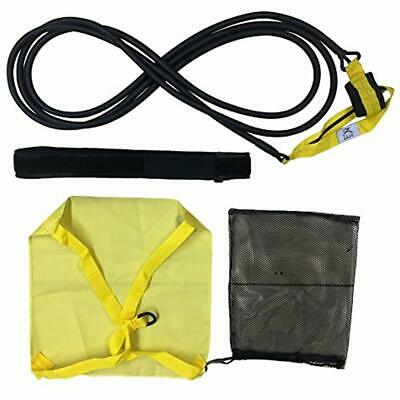 Swimming Swim Belts Belt For Stationary Resistance Training Endless Pool With 