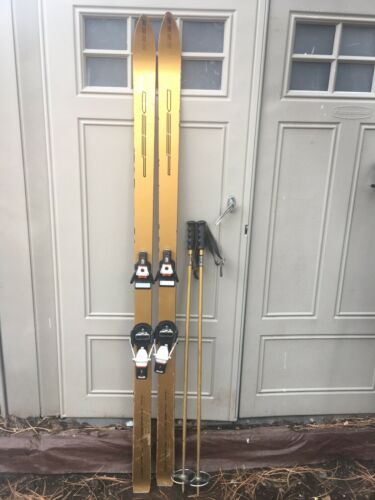 Pure Gold Deep Stein Eriksen Special Edition Skis 192cm Park City Interior Decor
