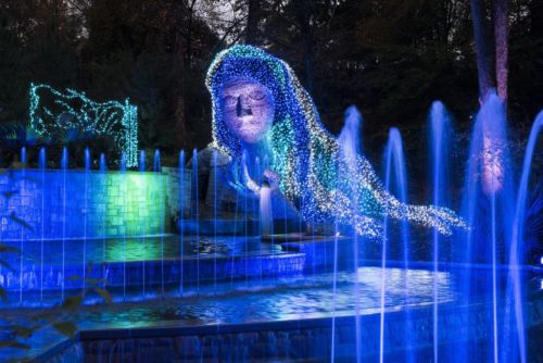 Atlanta Botanical Garden Tickets- Garden Lights Holiday Nights Exhibit