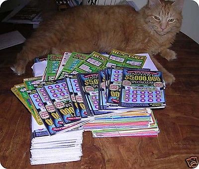 $1000 Bags of 2018 losing New York lottery scratch off tickets. 50 bags  avail