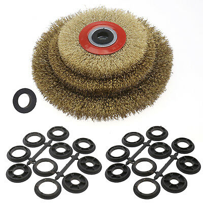 Wheel Brush Wire Circular Steel Cleaner For Cleaning Bench Grinder 5''/6''/8