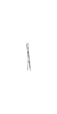 10-Inch Proportional Divider [ID 22389]