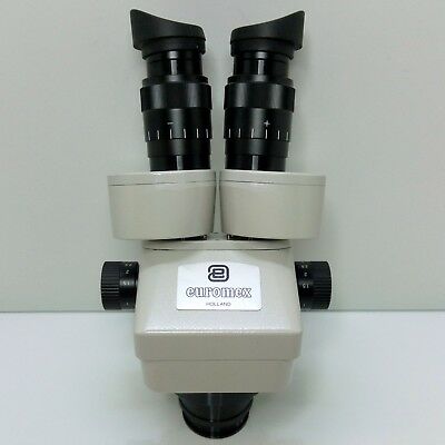 EUROMEX ZE.1626 Same As MEIJI EMZ-9 Microscope SWF10X, MA530 0.3X 252mm WD #415