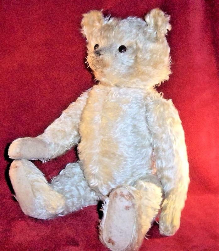 RARE WHITE MOHAIR Bear-  Early Antique, Hump, Long Arms and Snout