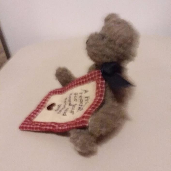 Friend Lee Bear Boyds Great Condition has tags the head bean.