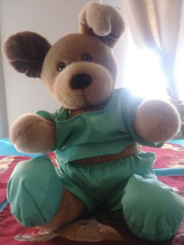 Build-A-Bear brown puppy with Doctors clothes