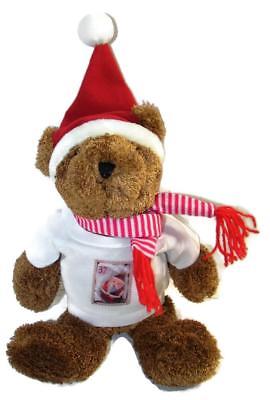 POSTAL Christmas Bear Santa Clause Stamp Brown Plush Polyester Fiber 10 in. -TO1