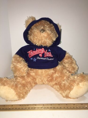 Universal Studios FL Souvenir Stuffed Plush Bear  Thinking of You Hoodie 16”