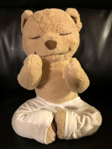 Meddy Teddy Yoga Mindfulness Bear 17.5” Plush 100% Posable (used) Free Ship