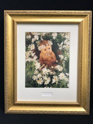 Ann Geddes 8x10 