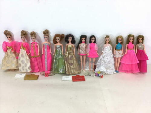 VINTAGE TOPPER DAWN DOLL LOT with OUTFITS (SOME MODEL AGENCY)