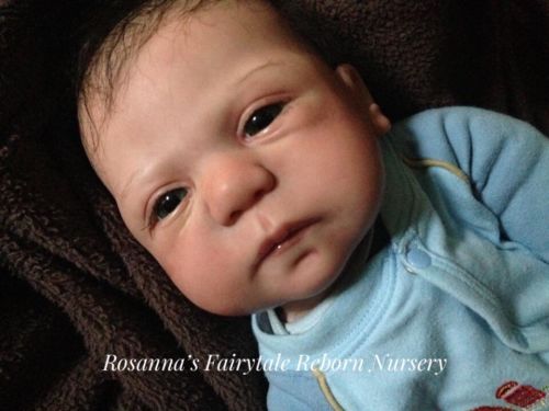 OOAK Reborn Vinyl Baby Doll Benjamin by Petra Seiffert