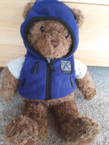 Gund collectors classic bear 26