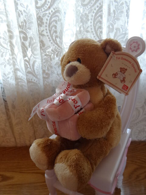Gund 'For Someone Special' Bear  Plush with ribbon tied Gift Box NWT perfect