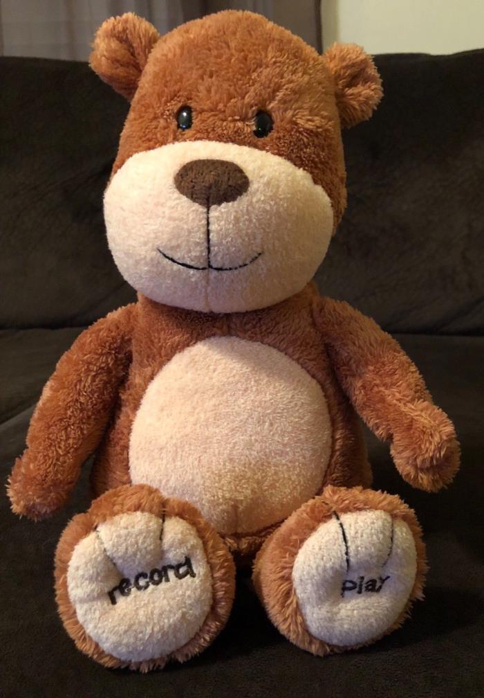 Hallmark Record a Name Singing Bear Plush