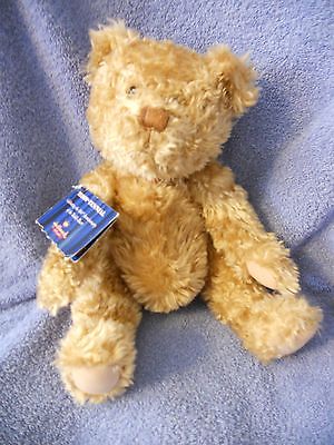 Hallmark Teddy-Tennial Bear 100th Anniversary of Teddy Bear Hang Tag 2+Unisex