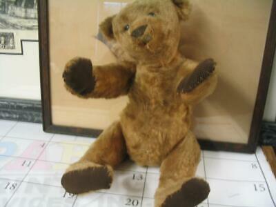 Antique Steiff Bear Shoe Button Eyes