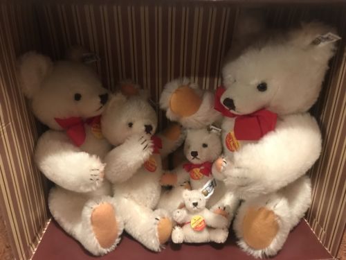 Steiff Teddy Bear Family 1982 Collectors Edition 5 White Bears W/ Box ESTATE
