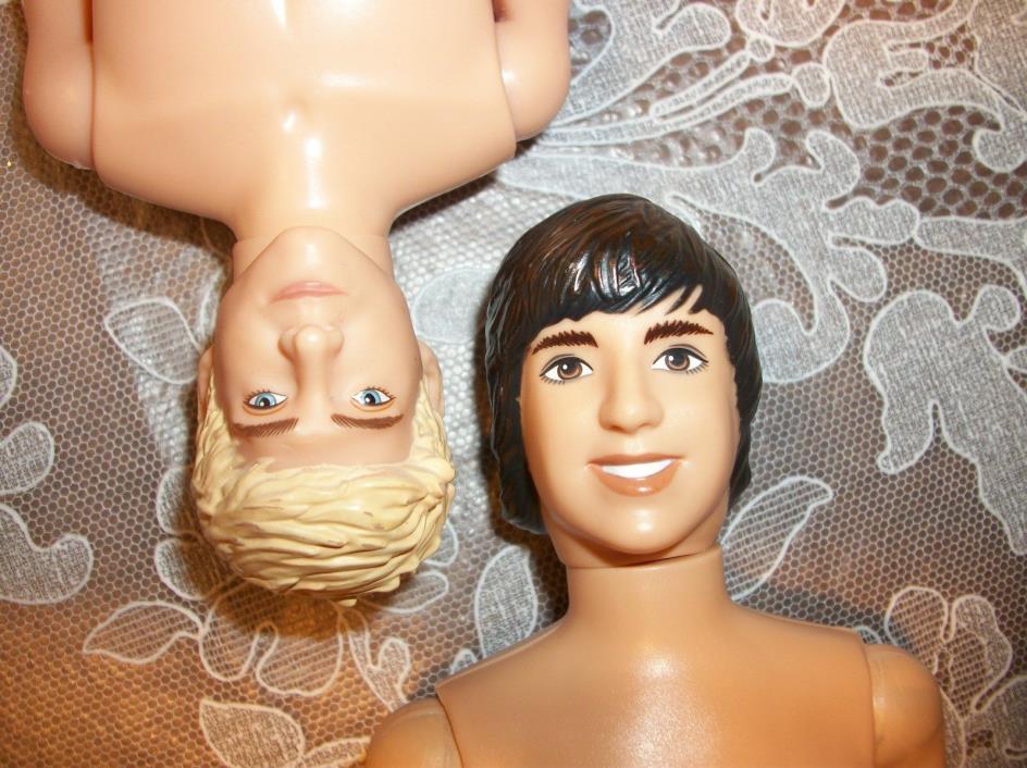 One Direction Niall Doll and Mystery Friend Doll