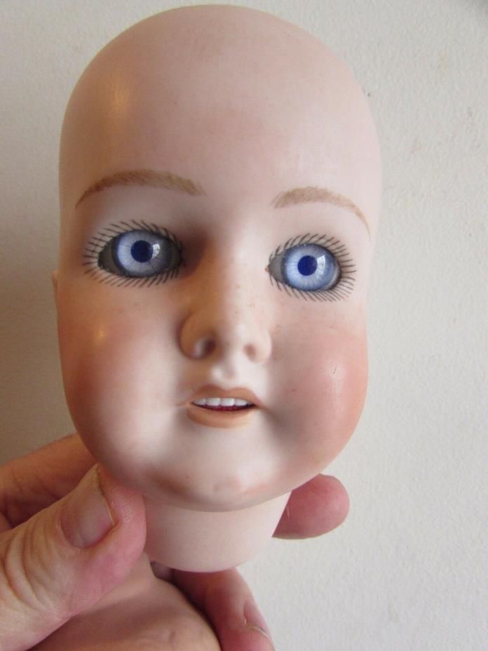 Vintage Bisque Doll Head Queen Louise German Doll Maker Horde Estate