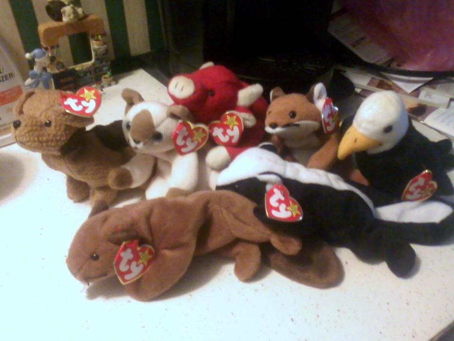 Lot of 7 TY BEANIE BABIES  all with tags EUC FOX SKUNK BULL CAT EAGLE BEAVER DOG