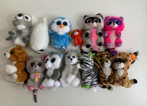 TY Beanie Boo Lot of 13 -Slush, Snicky, Stripes, Rozie, Icy, KooKoo, Snort, More