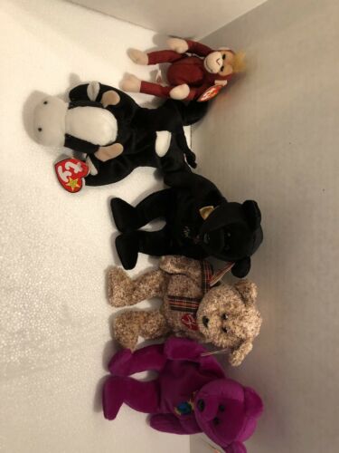 TY Beanie Boos Plush Toy Animals  Mixed Lot Of 5 tags attached