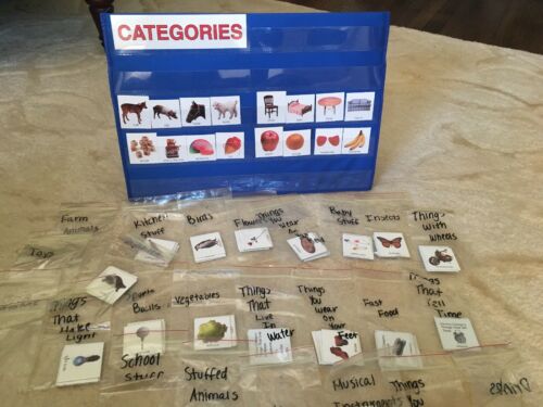 Category Sort 100 Photo Cards Tabletop Pocket Chart, Speech Therapy, Autism, ABA