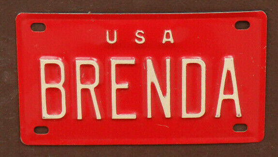 USA MINI MINIATURE BICYCLE LICENSE PLATE 