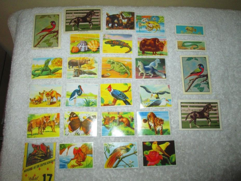 VINTAGE TRADING CARD LOT KELLOGS BIRD HORSE NABISO WATER WORLD HEROES + STICKERS