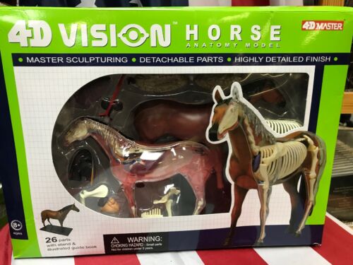 NEW 4D Master Vision Horse Anatomy Model