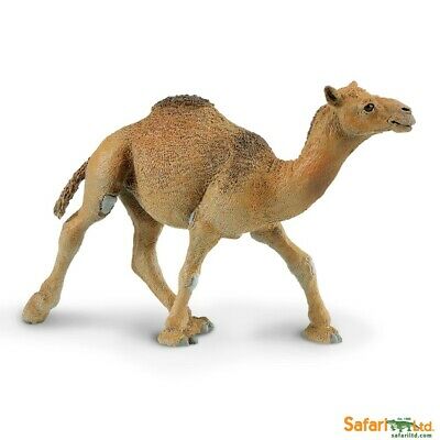 Wild Safari Wildlife Educational Painted Miniature Replica - Dromedary Camel